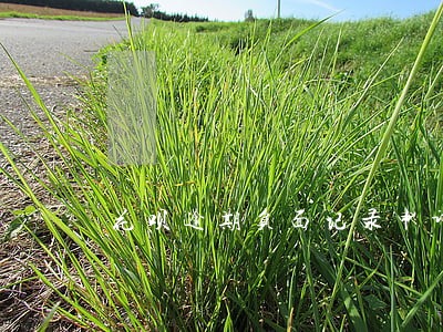 花呗逾期负面记录申诉成功 花呗逾期负面记录申诉成功