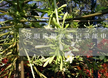 花呗逾期负面记录能申诉成功吗 花呗逾期负面记录能申诉成功吗