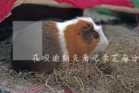 花呗逾期负面记录芝麻分 花呗逾期负面记录芝麻分