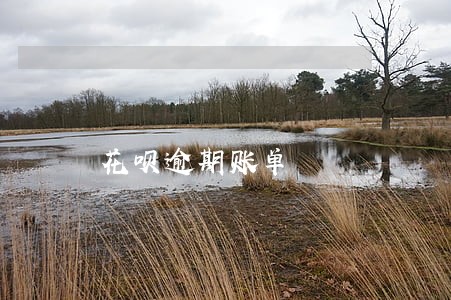 花呗逾期账单 花呗逾期账单