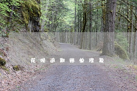 花呗逾期账单修复