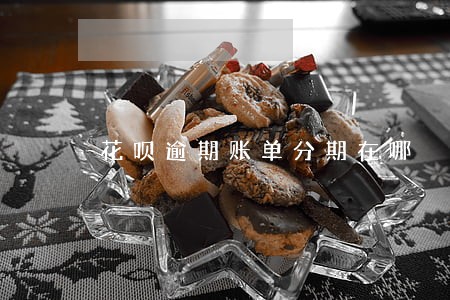 花呗逾期账单分期在哪 花呗逾期账单分期在哪