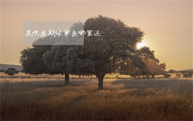 花呗逾期账单去哪里还 花呗逾期账单去哪里还