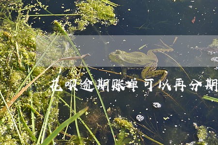 花呗逾期账单可以再分期乐