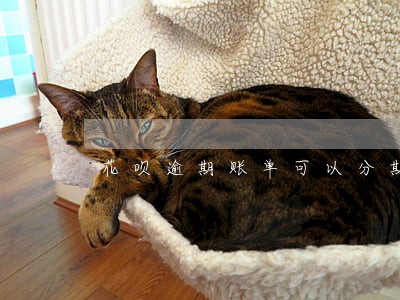 花呗逾期账单可以分期吗 花呗逾期账单可以分期吗