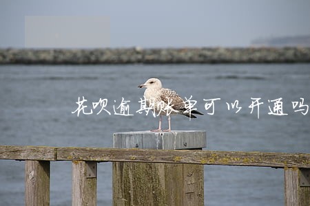 花呗逾期账单可以开通吗 花呗逾期账单可以开通吗