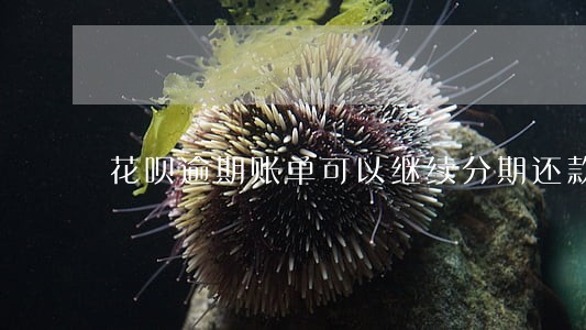花呗逾期账单可以继续分期还款吗 花呗逾期账单可以继续分期还款吗