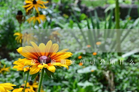 花呗逾期账单可分期什么意思 花呗逾期账单可分期什么意思