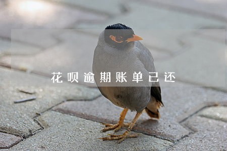 花呗逾期账单已还