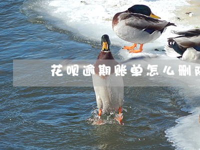 花呗逾期账单怎么删除 花呗逾期账单怎么删除
