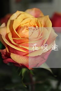 花呗逾期账单怎么办 花呗逾期账单怎么办