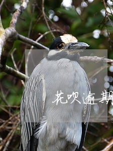 花呗逾期账单怎么查询 花呗逾期账单怎么查询