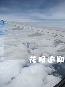 花呗逾期账单怎么看 花呗逾期账单怎么看
