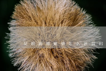 花呗逾期账单怎么还款吗 花呗逾期账单怎么还款吗