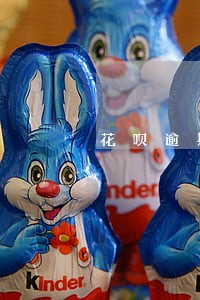花呗逾期账单明细查询 花呗逾期账单明细查询