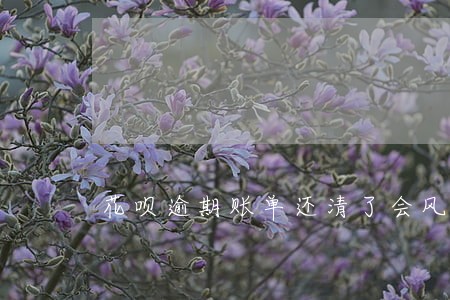 花呗逾期账单还清了会风控吗 花呗逾期账单还清了会风控吗