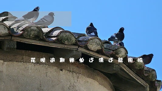 花呗逾期账单还清还能用吗 花呗逾期账单还清还能用吗