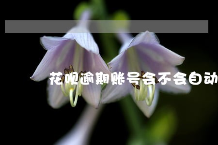 花呗逾期账号会不会自动扣款