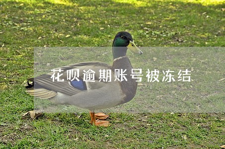 花呗逾期账号被冻结