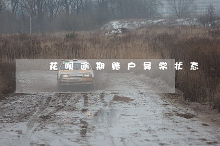 花呗逾期账户异常状态
