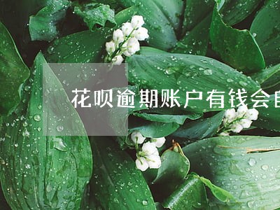 花呗逾期账户有钱会自动扣吗 花呗逾期账户有钱会自动扣吗