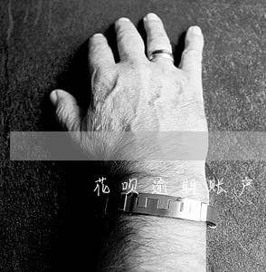 花呗逾期账户登不上该怎么办 花呗逾期账户登不上该怎么办