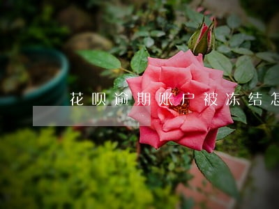 花呗逾期账户被冻结怎么办 花呗逾期账户被冻结怎么办