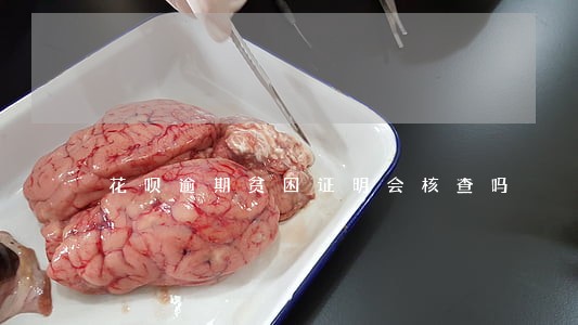 花呗逾期贫困证明会核查吗 花呗逾期贫困证明会核查吗