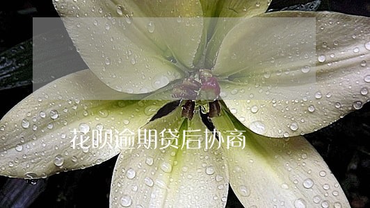 花呗逾期贷后协商 花呗逾期贷后协商
