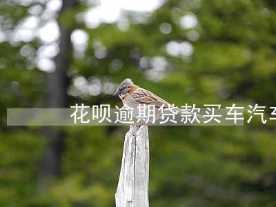 花呗逾期贷款买车汽车金融放贷吗 花呗逾期贷款买车汽车金融放贷吗
