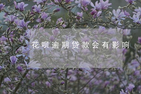 花呗逾期贷款会有影响 花呗逾期贷款会有影响