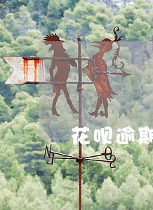 花呗逾期贷款口子 花呗逾期贷款口子