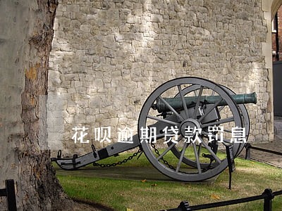 花呗逾期贷款罚息