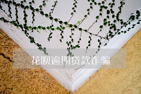 花呗逾期贷款诈骗 花呗逾期贷款诈骗