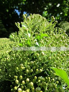 花呗逾期费一天多少 花呗逾期费一天多少