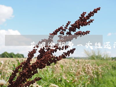 花呗逾期费一次性还清可以减免吗