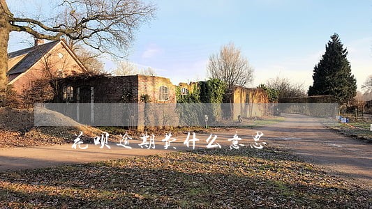 花呗逾期费什么意思 花呗逾期费什么意思
