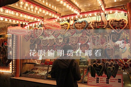 花呗逾期费在哪看