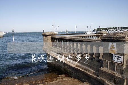 花呗逾期费多少