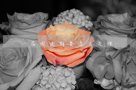 花呗逾期费怎么处理 花呗逾期费怎么处理