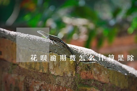 花呗逾期费怎么计算是除还是乘 花呗逾期费怎么计算是除还是乘