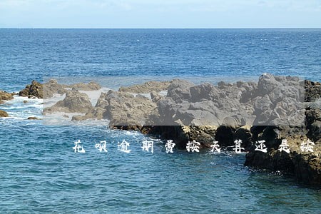 花呗逾期费按天算还是按月算 花呗逾期费按天算还是按月算