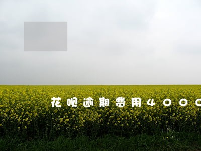花呗逾期费用4000多