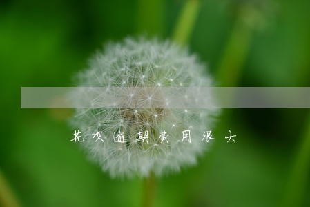 花呗逾期费用很大 花呗逾期费用很大