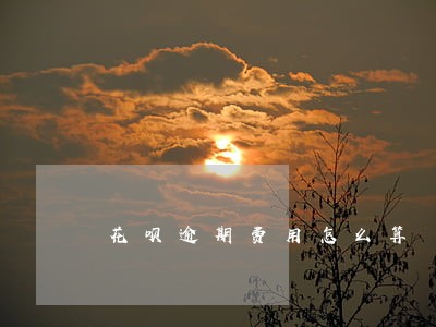 花呗逾期费用怎么算 花呗逾期费用怎么算