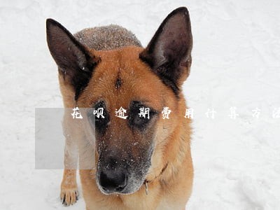 花呗逾期费用计算方法 花呗逾期费用计算方法