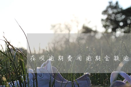 花呗逾期费用逾期金额逾期天数 花呗逾期费用逾期金额逾期天数