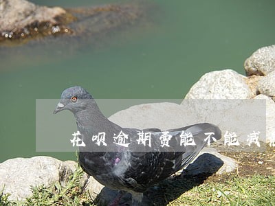 花呗逾期费能不能减免 花呗逾期费能不能减免