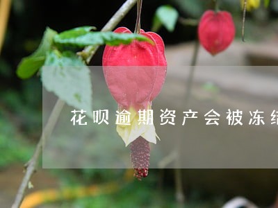 花呗逾期资产会被冻结吗 花呗逾期资产会被冻结吗