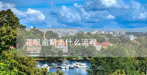 花呗逾期走什么流程 花呗逾期走什么流程